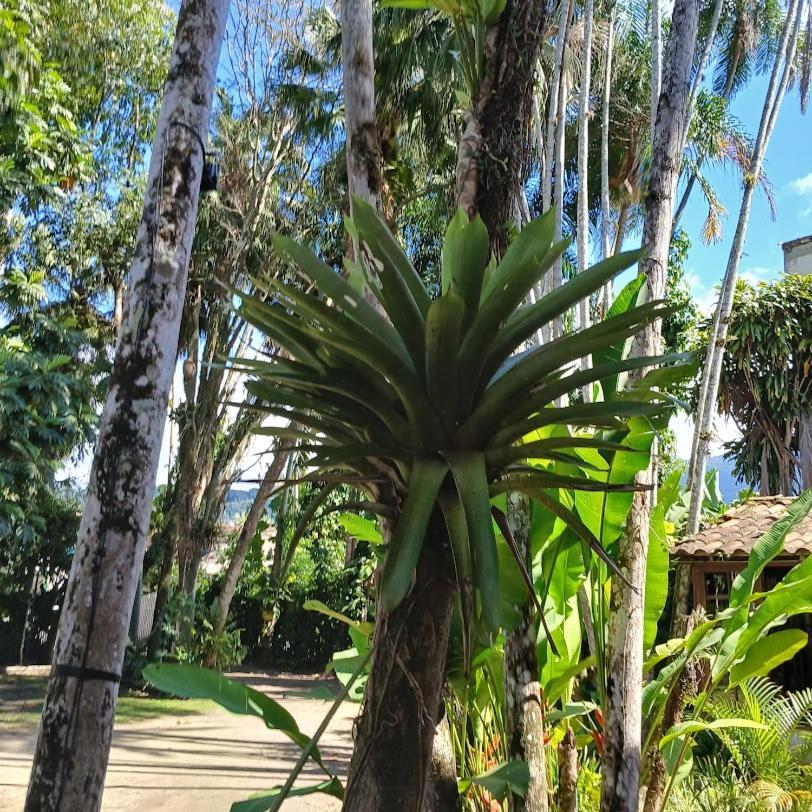 Villa Dos Passaros Paraty Hospedagem Εξωτερικό φωτογραφία